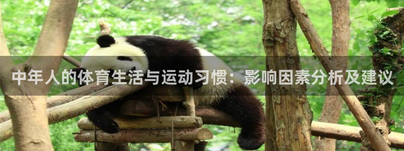 中年人的体育生活与运动习惯：影响因素分析及建议