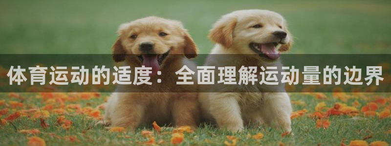 体育运动的适度：全面理解运动量的边界