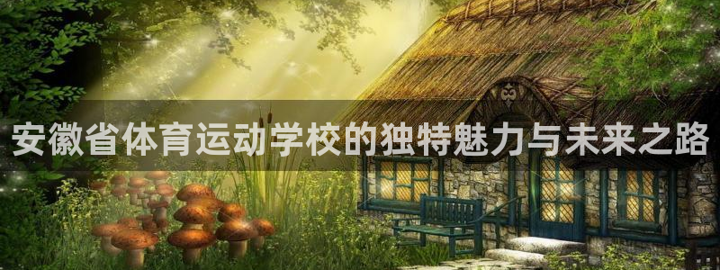 安徽省体育运动学校的独特魅力与未来之路
