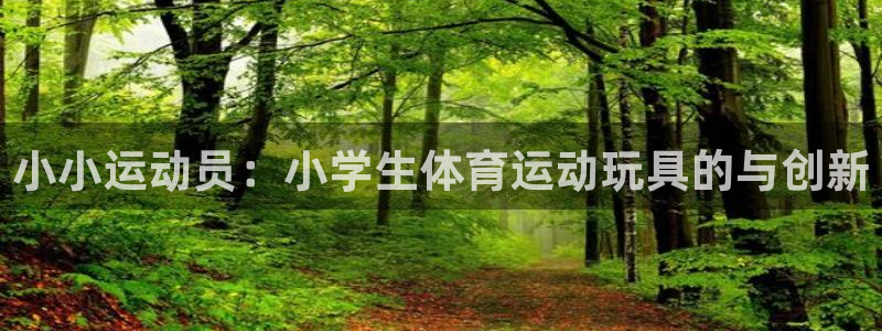 小小运动员：小学生体育运动玩具的与创新