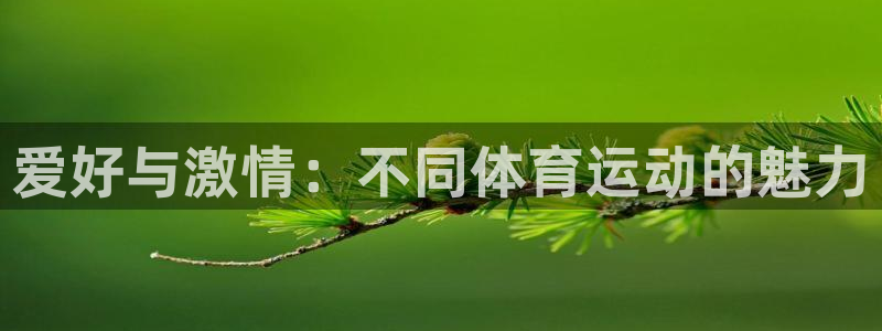 爱好与激情：不同体育运动的魅力