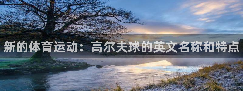 新的体育运动：高尔夫球的英文名称和特点