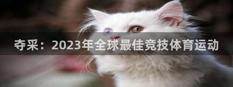 夺采：2023年全球最佳竞技体育运动