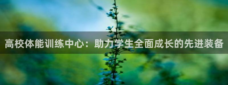 高校体能训练中心：助力学生全面成长的先进装备