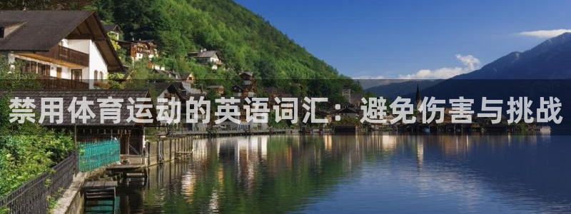 禁用体育运动的英语词汇：避免伤害与挑战