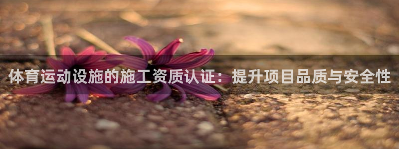 体育运动设施的施工资质认证：提升项目品质与安全性