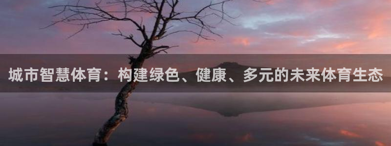 城市智慧体育：构建绿色、健康、多元的未来体育生态