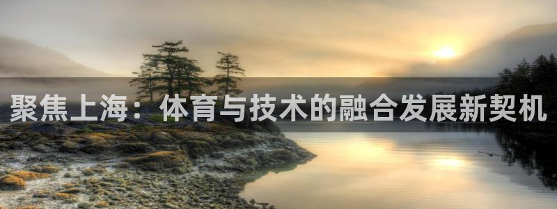 聚焦上海：体育与技术的融合发展新契机