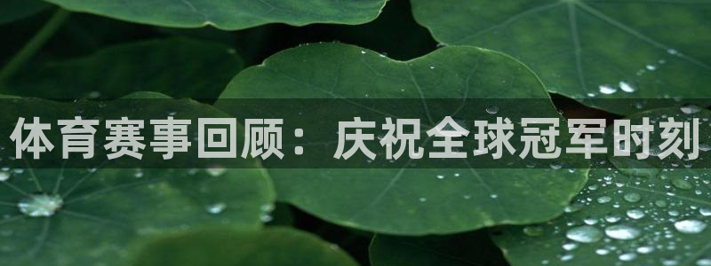 体育赛事回顾：庆祝全球冠军时刻
