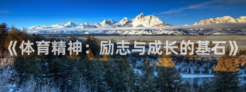 《体育精神：励志与成长的基石》